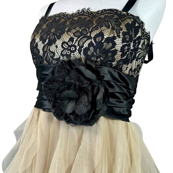 Romantic Goth Evening Empire Gown Black Lace Tiered Tulle Rosette Formal 5/6 - Picture 9 of 14